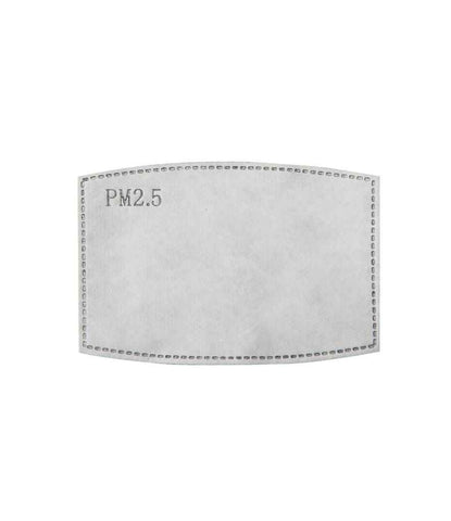 PM2.5 Activated Carbon Mask Filter